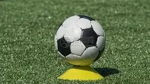 ag真人 资讯 101337 mng