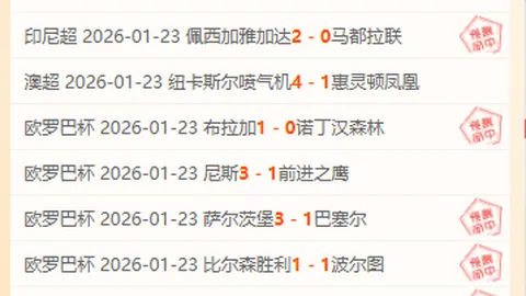 11胜8佳绩背后，揭秘外界迷雾弹的潜在陷阱！